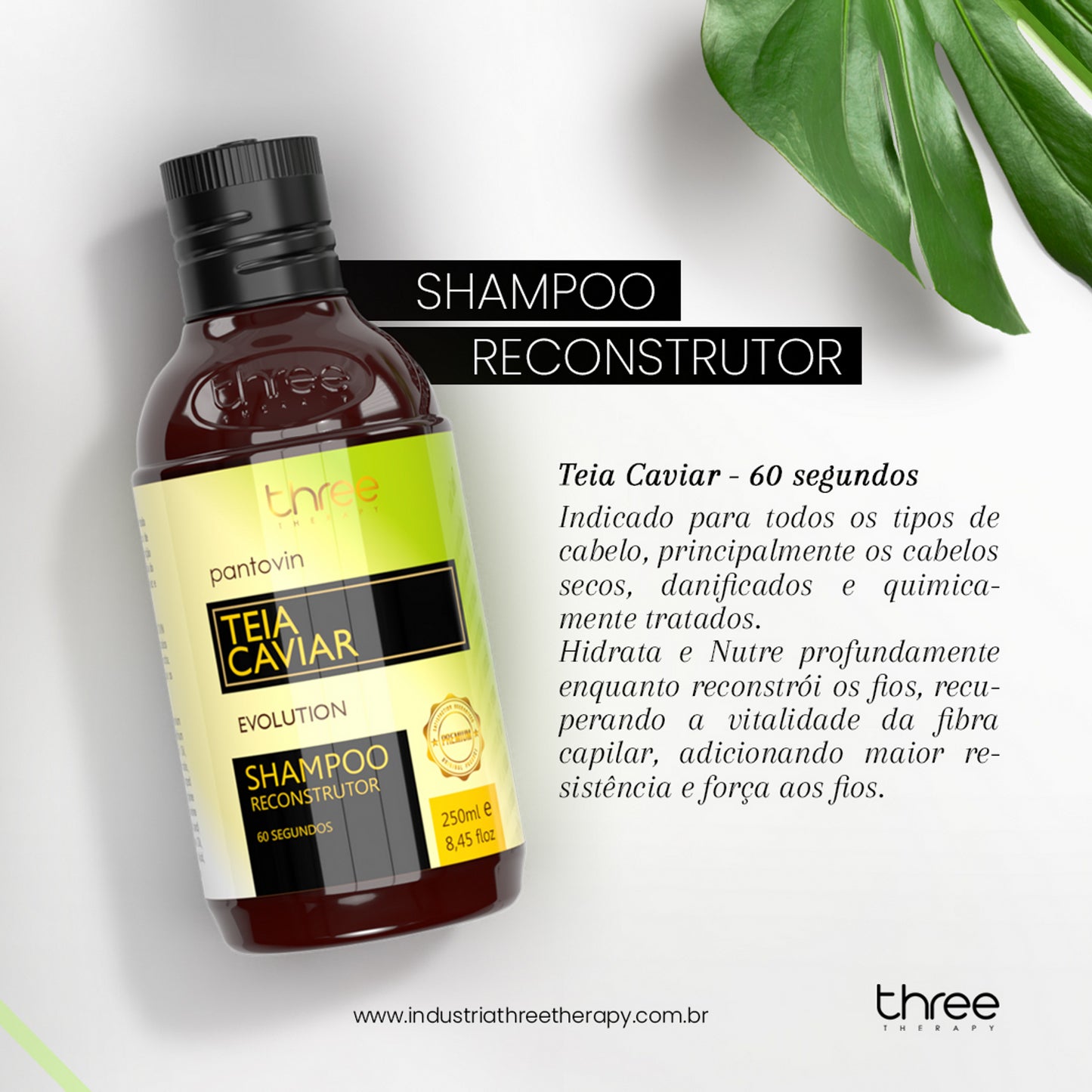 Teia Caviar Evolution kit Reconstrutor 60s 250ml