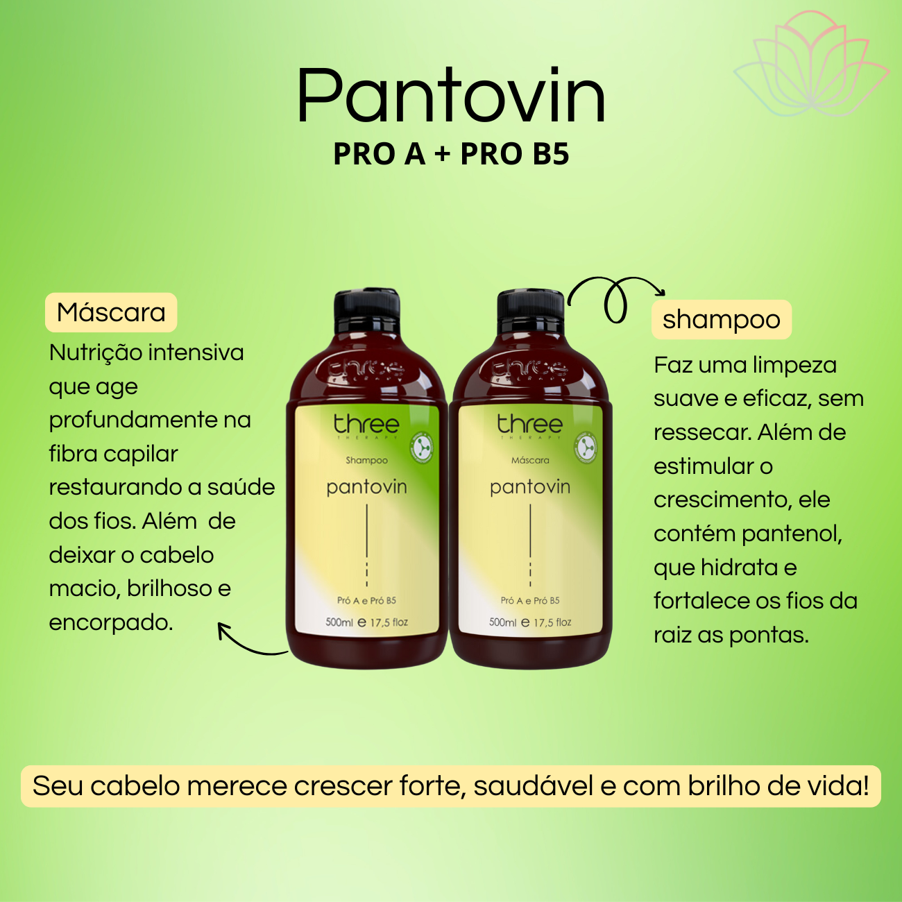 Shampoo e Mascara Pantovin Crescimento Acelerado